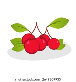Diseño de Vector de una colección de cerezas y hojas sobre un fondo blanco