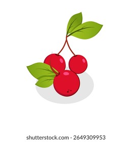 vector design of a collection of cherries and leaves on a white background