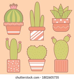 Vector design collection set of cactus and succulent plants in flower pot. 