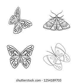 Vector design of color and spring icon. Set of color and fly stock vector illustration.