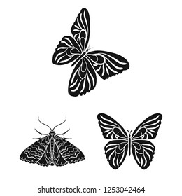 Vector design of color and spring sign. Set of color and fly stock symbol for web.