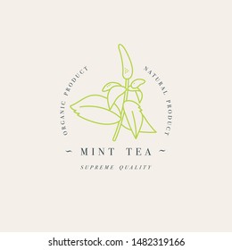 Vector design colorful templat logo or emblem - organic herb mint tea. Logos in trendy linear style isolated on white background