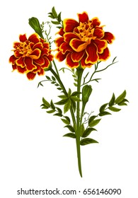 Vector design of colorful vintage flower bouquet for invitation and greeting card design