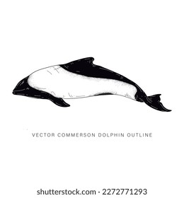 Vector design of a commerson dolphin in line art style flat art