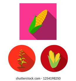 Vector design of corn and leaf icon. Set of corn and sweet stock symbol for web.