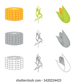 Vector design of cornfield and vegetable logo. Collection of cornfield and vegetarian stock symbol for web.