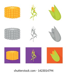 Vector design of cornfield and vegetable logo. Set of cornfield and vegetarian stock vector illustration.