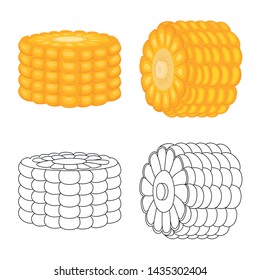 Vector design of cornfield and vegetable logo. Set of cornfield and vegetarian stock vector illustration.