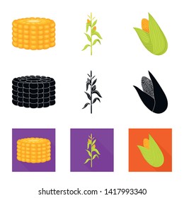 Vector design of cornfield and vegetable sign. Collection of cornfield and vegetarian stock symbol for web.