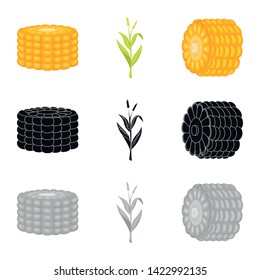 Vector design of cornfield and vegetable sign. Set of cornfield and vegetarian stock symbol for web.