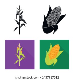 Vector design of cornfield and vegetable sign. Collection of cornfield and vegetarian vector icon for stock.