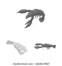 Vector design of crab and appetizer icon. Collection of crab and sea stock symbol for web.