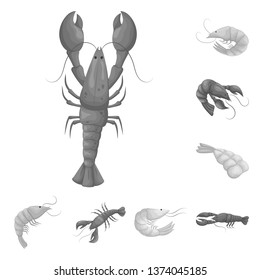 Vector design of crab and appetizer sign. Set of crab and sea stock vector illustration.
