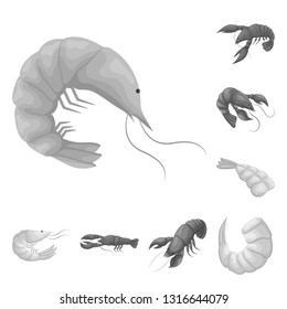 Vector design of crab and appetizer symbol. Collection of crab and sea stock vector illustration.