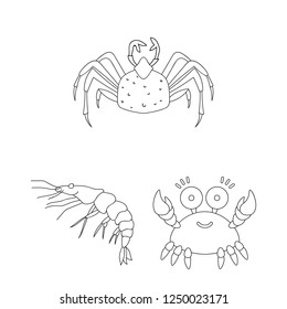 Vector design of crab and beach sign. Collection of crab and sea stock symbol for web.