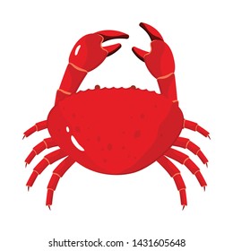 Vector design of crab and seafood icon. Collection of crab and sea vector icon for stock.