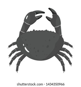 Vector design of crab and seafood sign. Collection of crab and sea vector icon for stock.