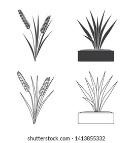 Vector design of crop and ecological icon. Collection of crop and cooking stock vector illustration.