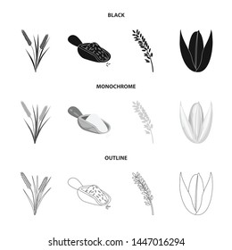 Vector design of crop and ecological icon. Collection of crop and cooking stock vector illustration.