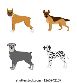 Vector design of  cute  and  icon. Collection of  cute  and  stock symbol for web.