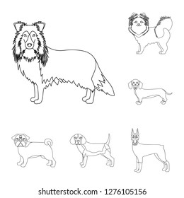 Vector design of  cute  and  icon. Collection of  cute  and  vector icon for stock.