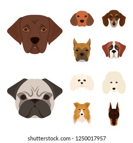 Vector design of cute and puppy icon. Set of cute and animal stock symbol for web.