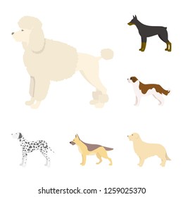 Vector design of cute and puppy icon. Collection of cute and animal stock vector illustration.