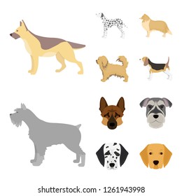 Vector design of cute and puppy icon. Set of cute and animal vector icon for stock.