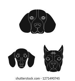 Vector design of cute and puppy icon. Set of cute and animal stock vector illustration.