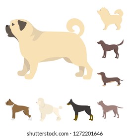 Vector design of cute and puppy icon. Set of cute and animal stock symbol for web.