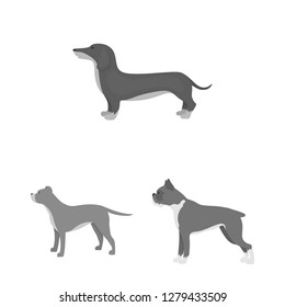 Vector design of cute and puppy icon. Collection of cute and animal stock symbol for web.