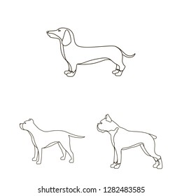 Vector design of cute and puppy icon. Set of cute and animal vector icon for stock.
