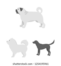 Vector design of cute and puppy logo. Collection of cute and animal stock vector illustration.