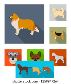 Vector design of cute and puppy logo. Collection of cute and animal vector icon for stock.
