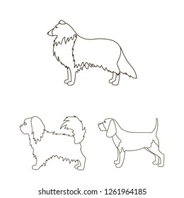 Vector design of cute and puppy logo. Set of cute and animal vector icon for stock.