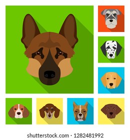 Vector design of cute and puppy logo. Collection of cute and animal vector icon for stock.