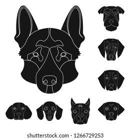 Vector design of cute and puppy sign. Collection of cute and animal stock symbol for web.