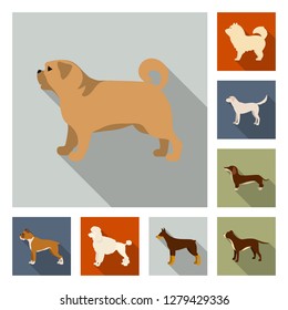 Vector design of cute and puppy sign. Collection of cute and animal stock vector illustration.