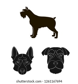 Vector design of cute and puppy symbol. Set of cute and animal stock symbol for web.