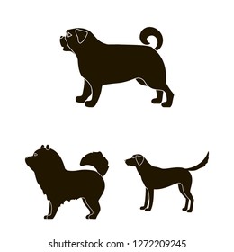 Vector design of cute and puppy symbol. Collection of cute and animal stock vector illustration.