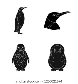 Vector design of cute and snow logo. Set of cute and happy vector icon for stock.
