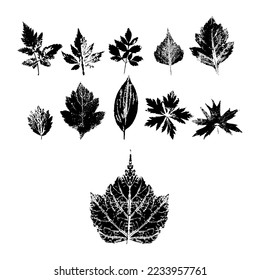 Vector design Detail: set of leaf silhouettes