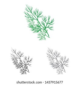 Vector design of dill and greenery icon. Collection of dill and aromatherapy vector icon for stock.
