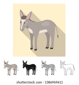 Vector design of donkey  and animal sign. Collection of donkey  and grey  stock vector illustration.