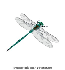 Vector design of dragonfly and colorful logo. Set of dragonfly and beauty stock vector illustration.