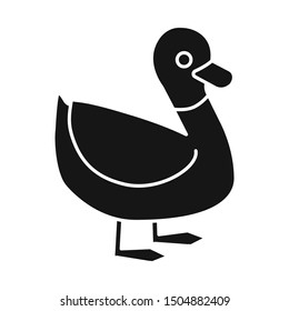 Vector design of duck and bird icon. Graphic of duck and drake stock vector illustration.