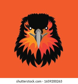 vector design of an eagle head