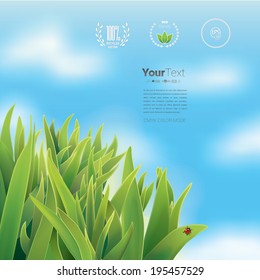 Vector design. Eco - green infographics page layout design with a sample graphics elements and a fresh leaves illustration in the corner