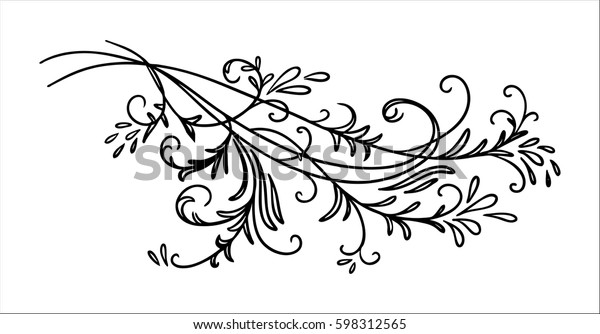 vector design element,\
beautiful fancy curls leaves vines and swirls paragraph divider or\
underline illustration, black ink lines isolated on white\
background,
