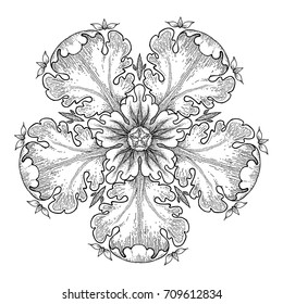 Vector design element and calligraphic page decoration